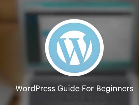 Exploring the Best WordPress Tutorials for Beginners
