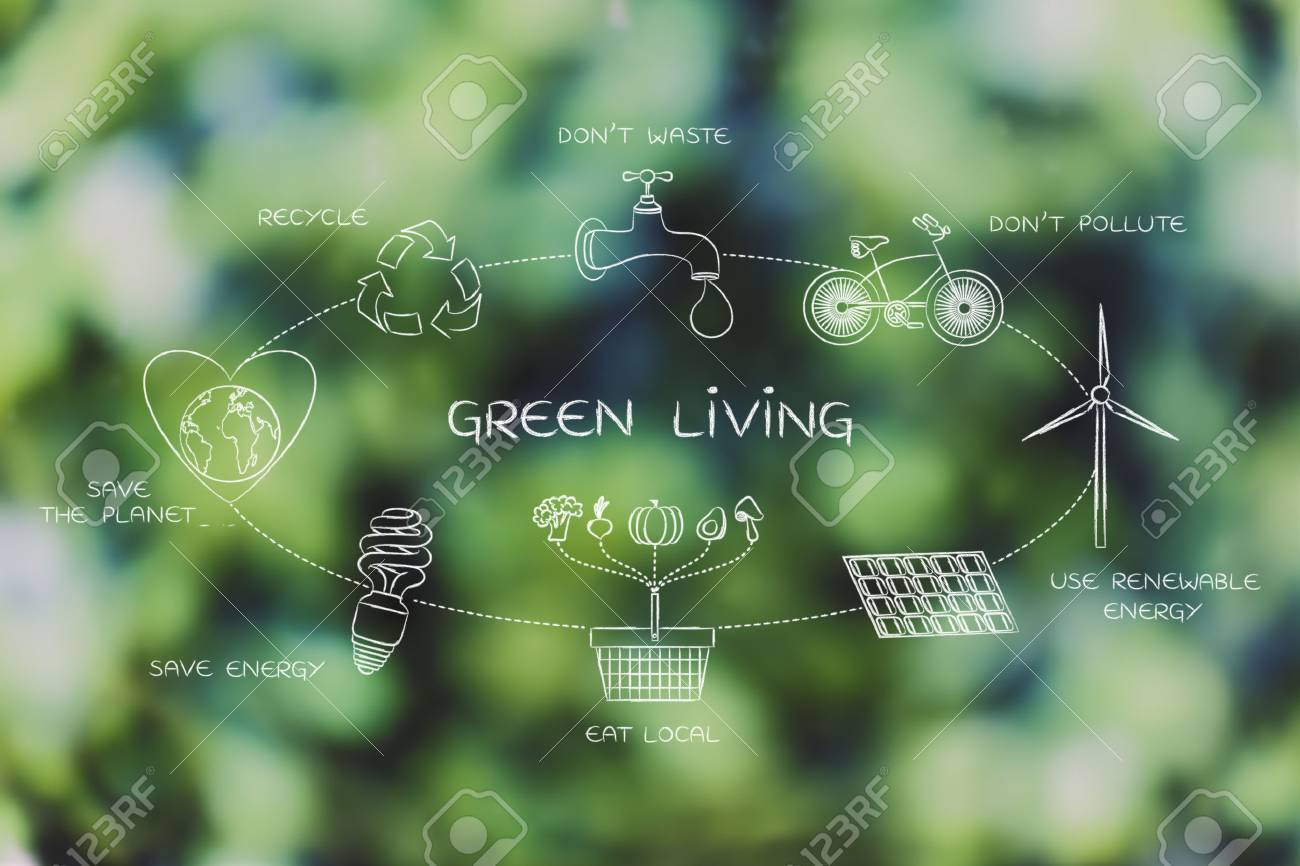 How to Live an Eco-Friendly Life: A Guide to Green Living