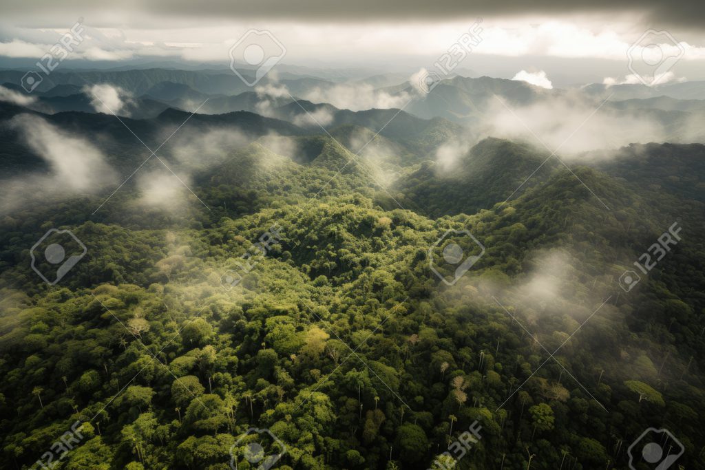 Amazon Rainforest - Ibhulogi Blog