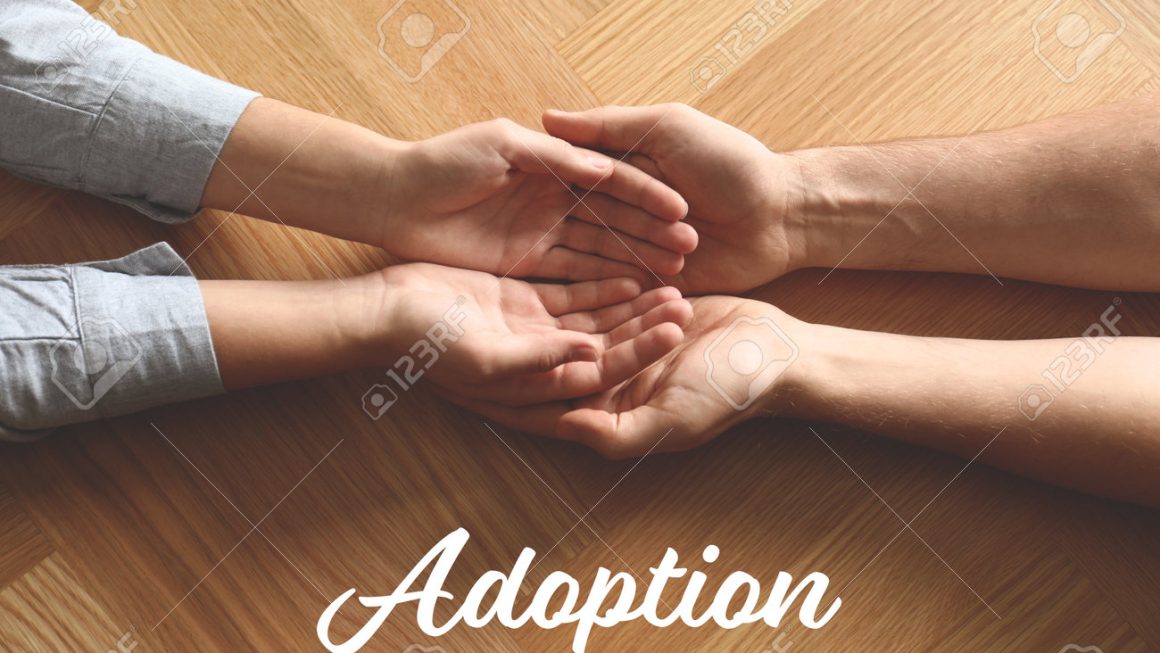 Adoption Agencies Blog Post Ibhulogi