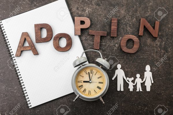 Vital Questions to Ask Before Choosing an Adoption Agency