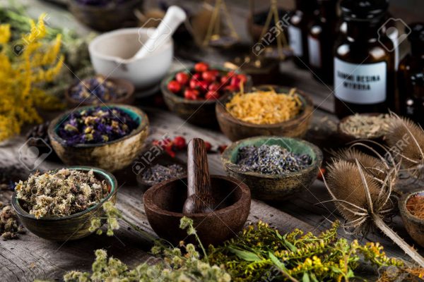 The Training and Qualifications of Alternative Medicine Practitioners